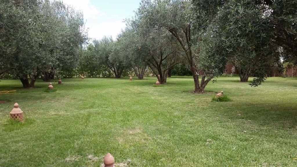 Riad Sidi Hicham Ouled Bouzid 外观 照片