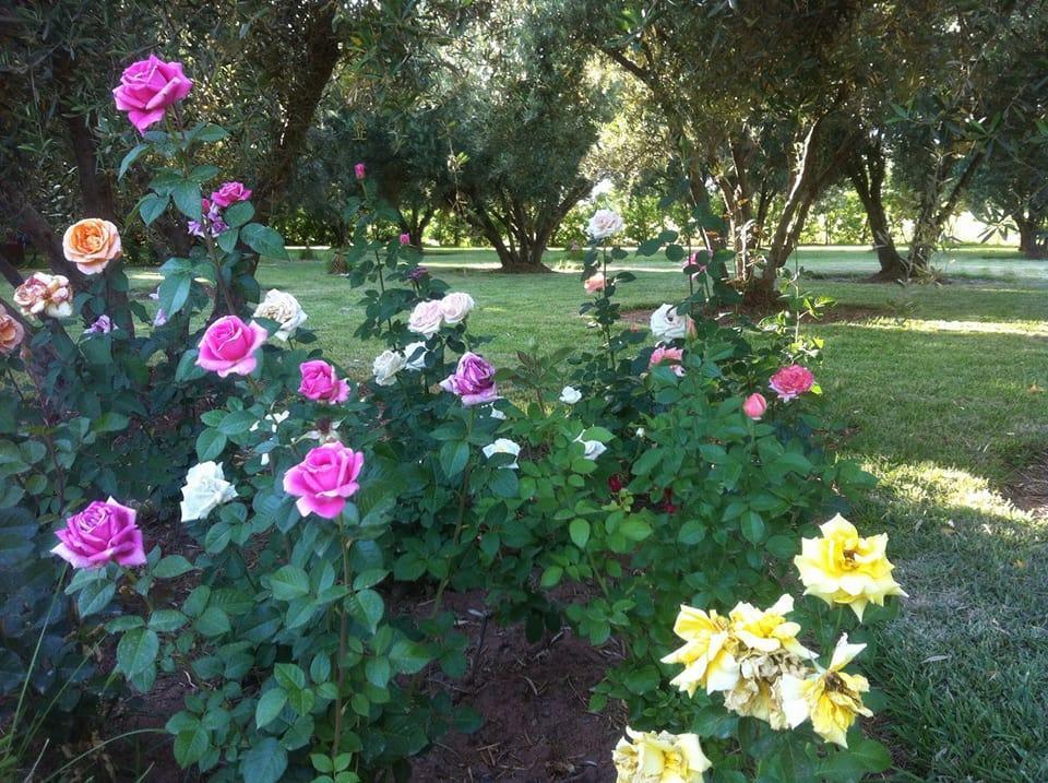 Riad Sidi Hicham Ouled Bouzid 外观 照片