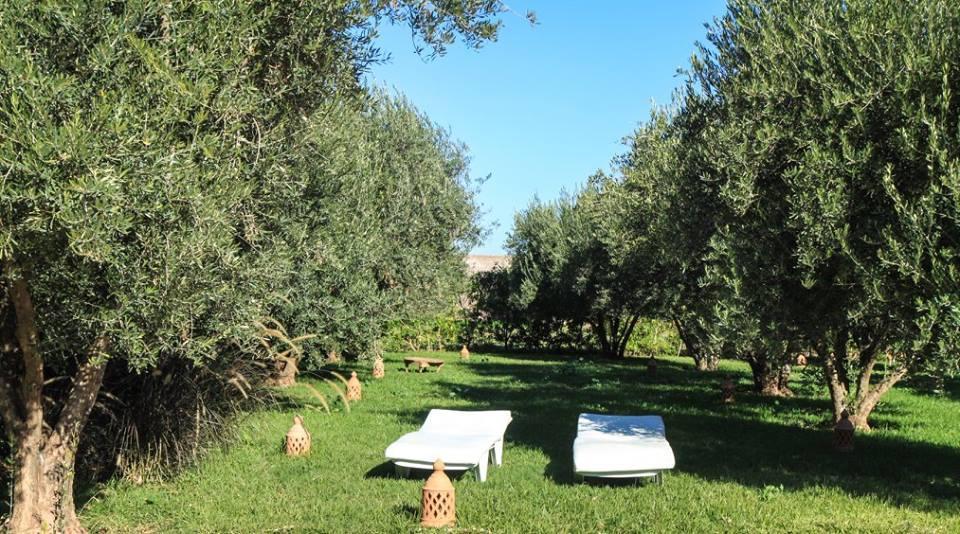 Riad Sidi Hicham Ouled Bouzid 外观 照片