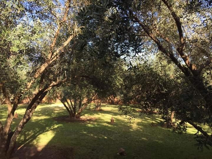 Riad Sidi Hicham Ouled Bouzid 外观 照片